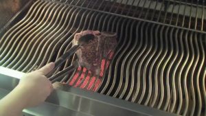 Barbecue NAPOLEON LEX485RSIB
