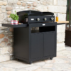 PLANCHA PURE 375 NOIR (2) PLANCHA PURE 375 NOIR (2)