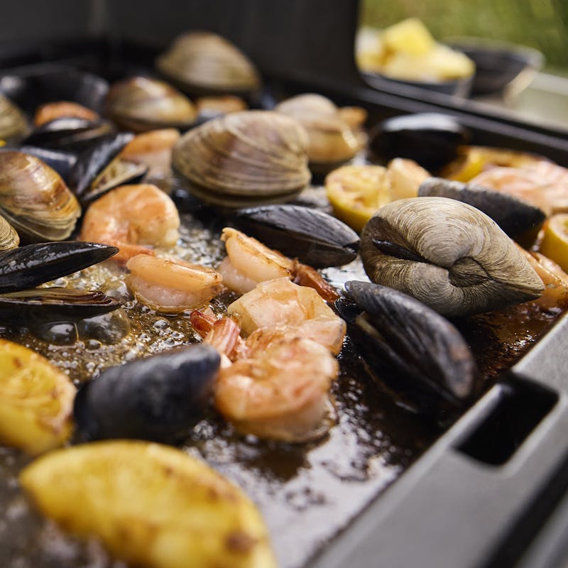 12_1501269_GRIDDLE-INSERT_SEAFOOD_EMEA_301_E-435LW-SCORPION_2199_1800x1800
