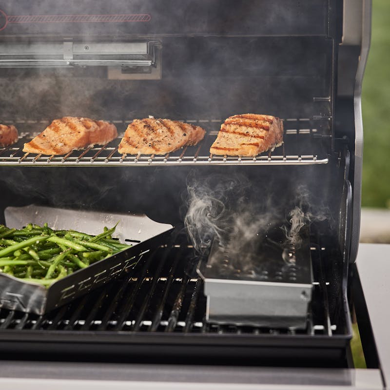 SummitBase_Stainless_Food_Salmon_1846_1800x1800